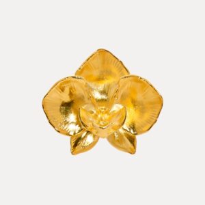 Further-Giant Orchid Brooch