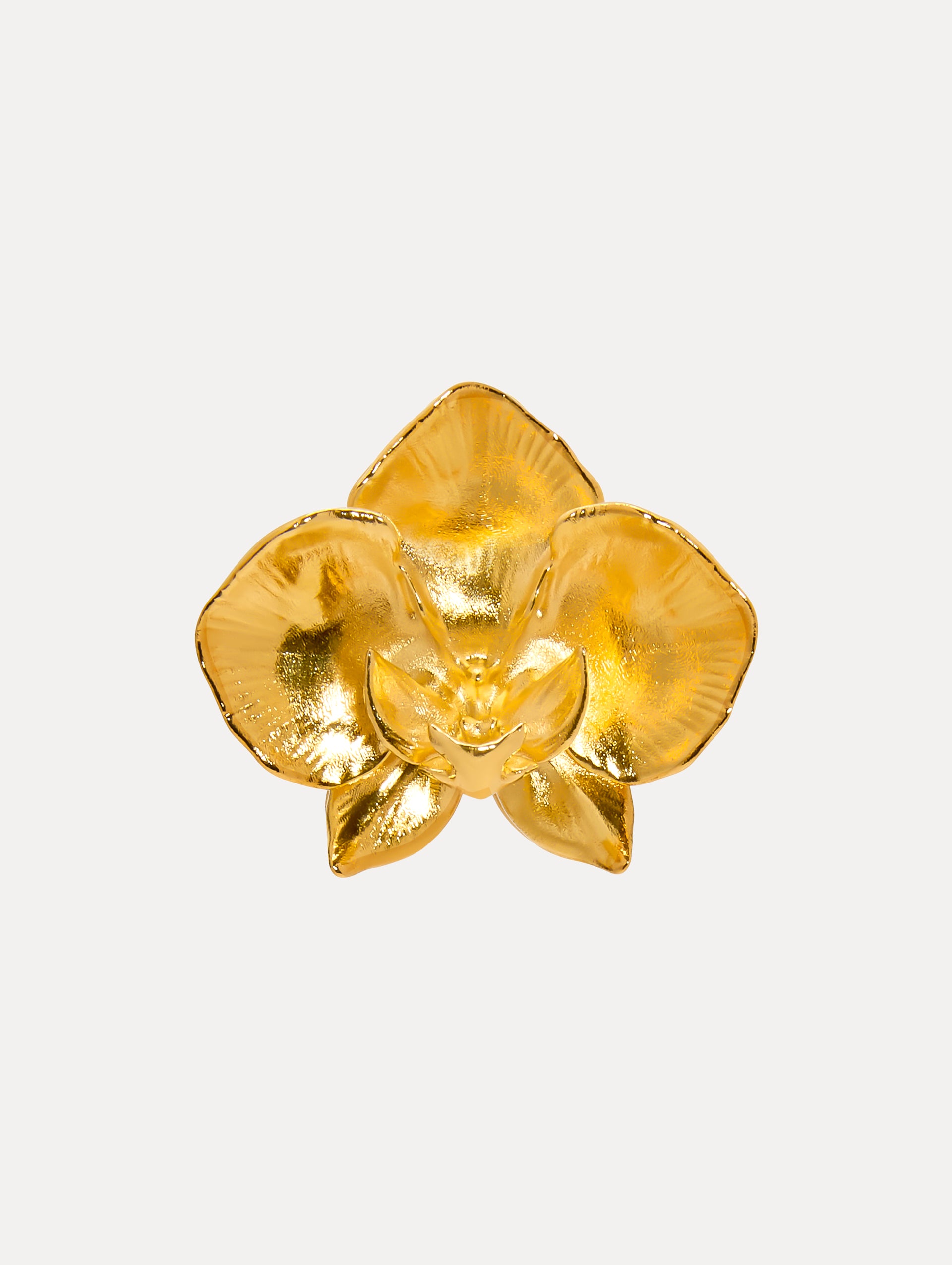 Further-Giant Orchid Brooch